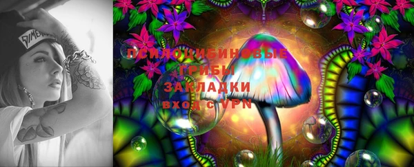 гидропоника Кинешма