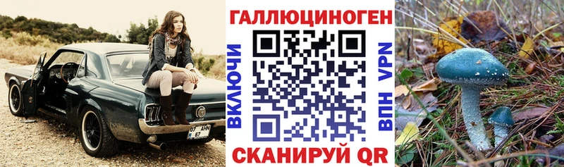 Галлюциногенные грибы Psilocybine cubensis  Купить  Канск 